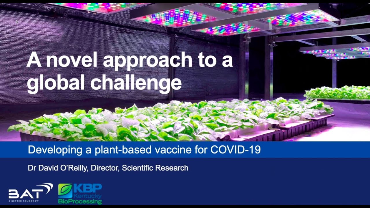 Dr. David O'Reilly, BAT: New-to-world, plant-based research towards a COVID-19 vaccine