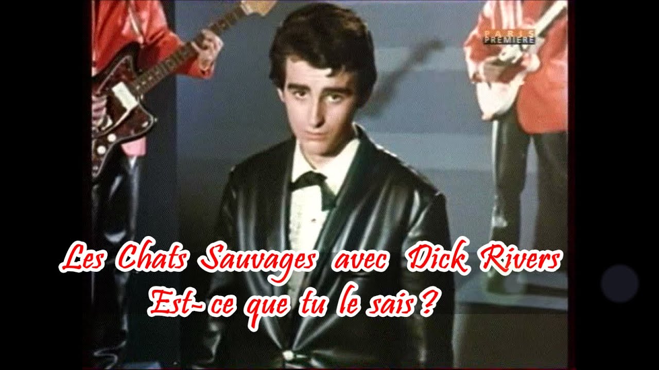 Les Chats Sauvages et Dick Rivers  Est-ce que tu le sais ?