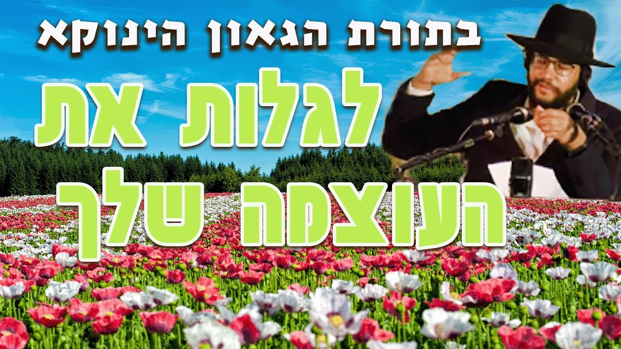 בתורת הגאון הינוקא - איך לגלות את האור שיש בך