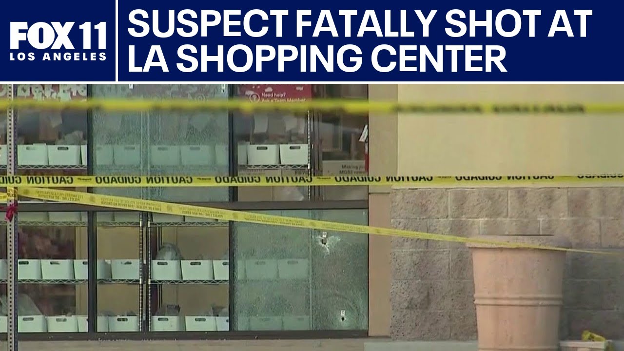 Armed robbery suspect fatally shot by police