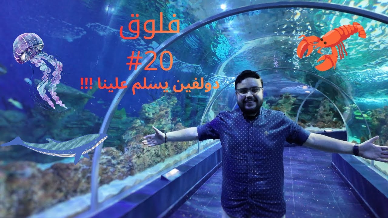فلوق #20 ( اكواريوم جدة 🐬) 