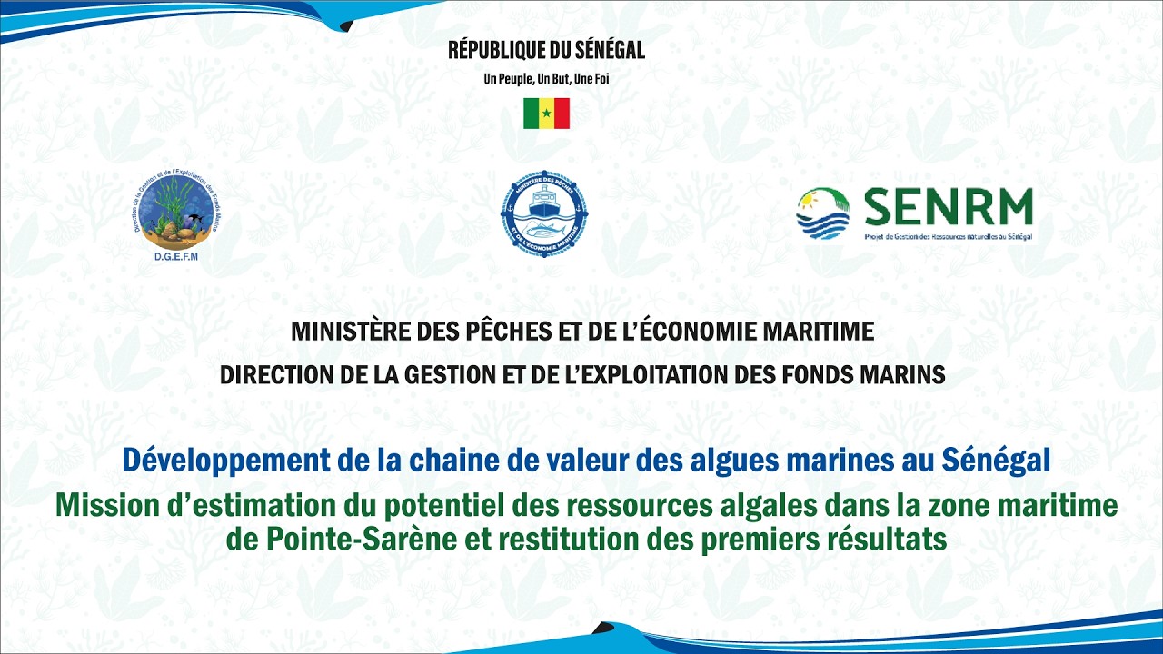 Développement de la chaine de valeur des algues marines au Sénégal