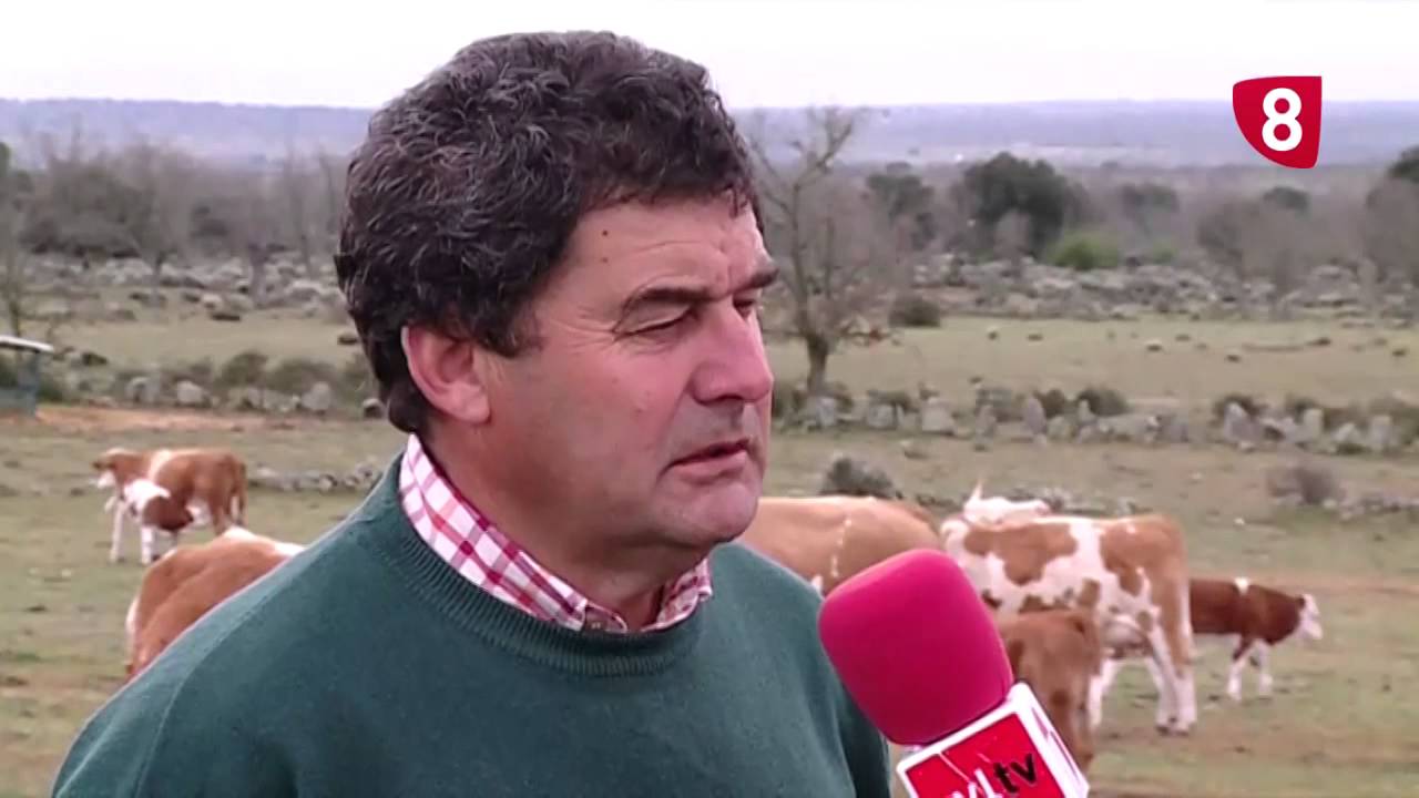 CAMPO SALMANTINO - Programa 13 de abril de 2015