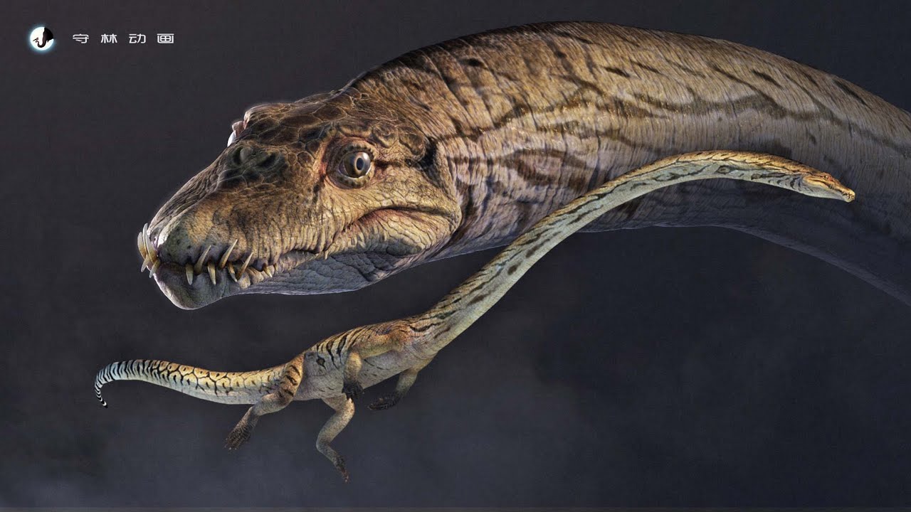 CG demo Tanystropheus