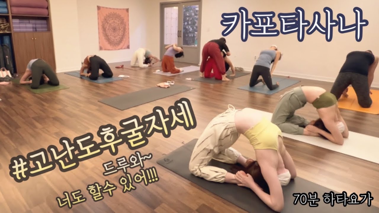 [엔젤요가] 드루와~~ 너도 할수 있어!!!! | 고난도후굴자세 / 카포타사나