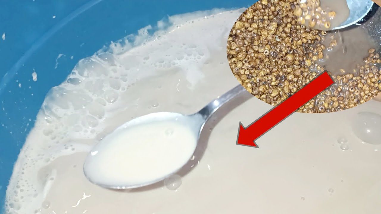 KNOW THESE TIPS BEFORE STARTING THAT TIGERNUT BUSINESS!!!!!