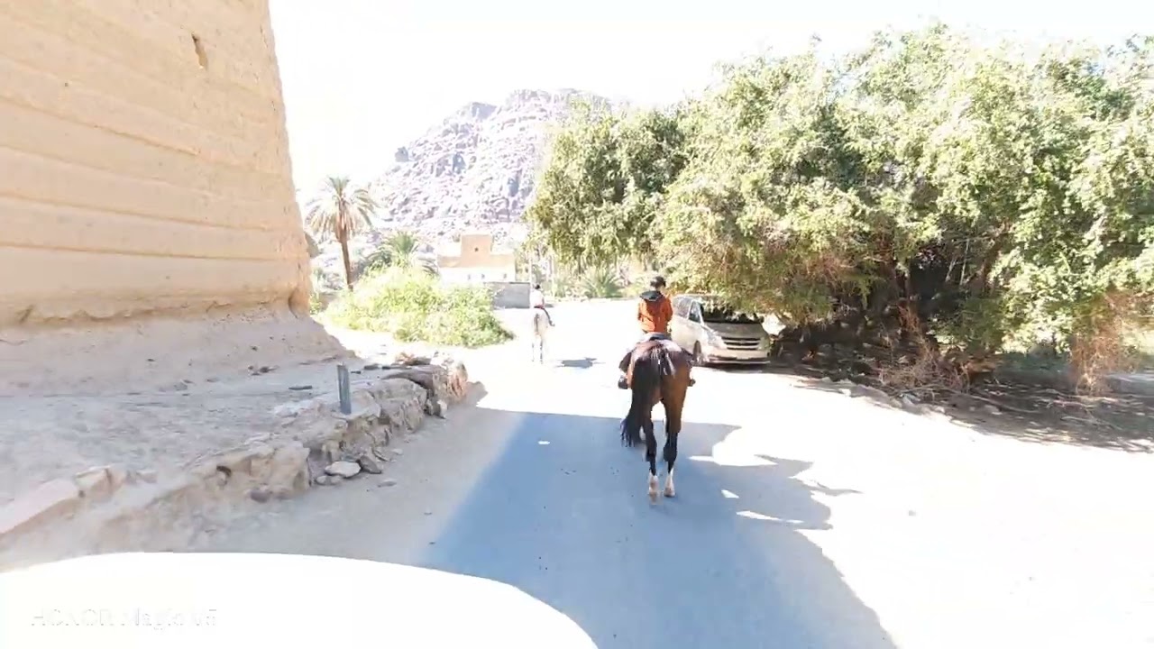 # تحمل وقدره شغل تميم وعلي في التدريب على التحمل 