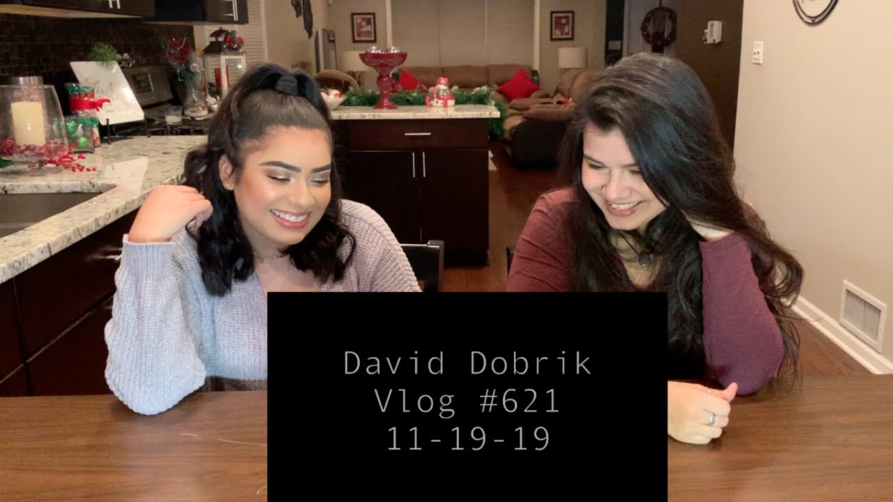 Reacting to The VLOG SQUAD Series | David Dobrik