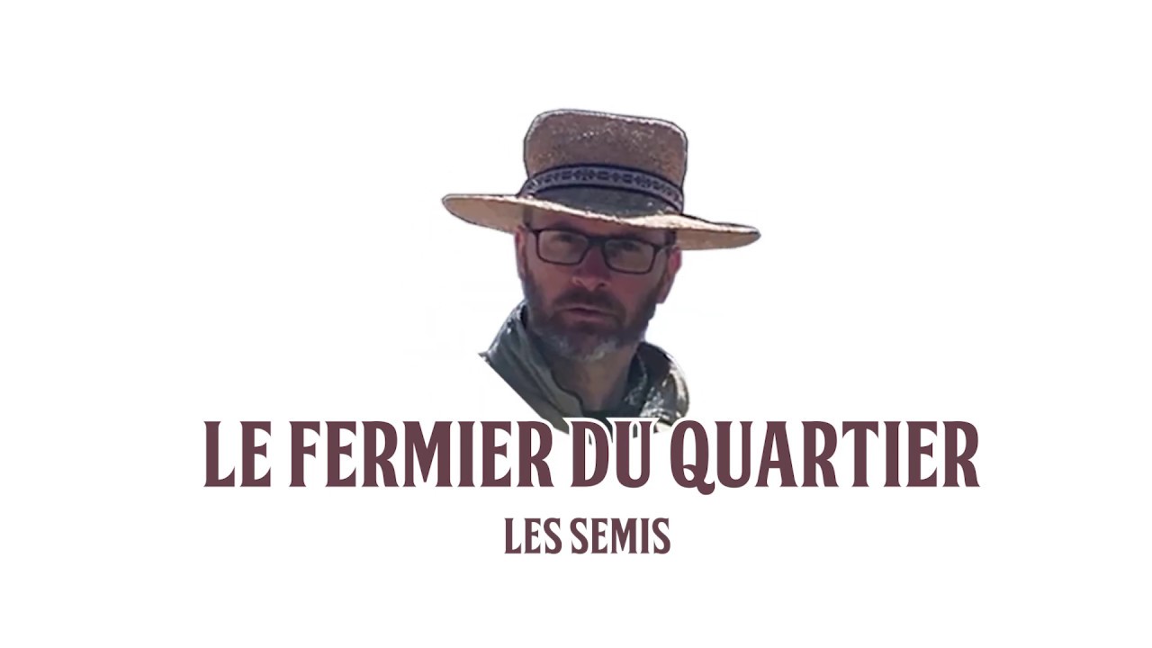 Capsule #4: Les semis