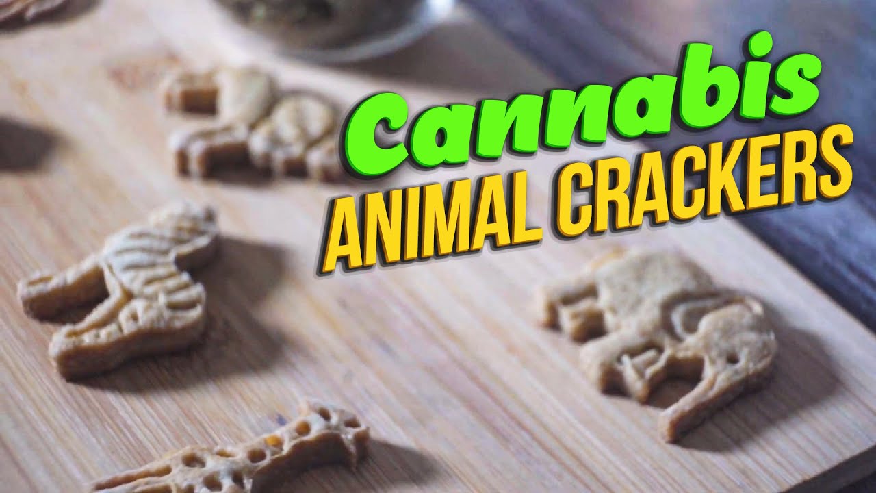 How to make Potent Cannabis Animal Crackers