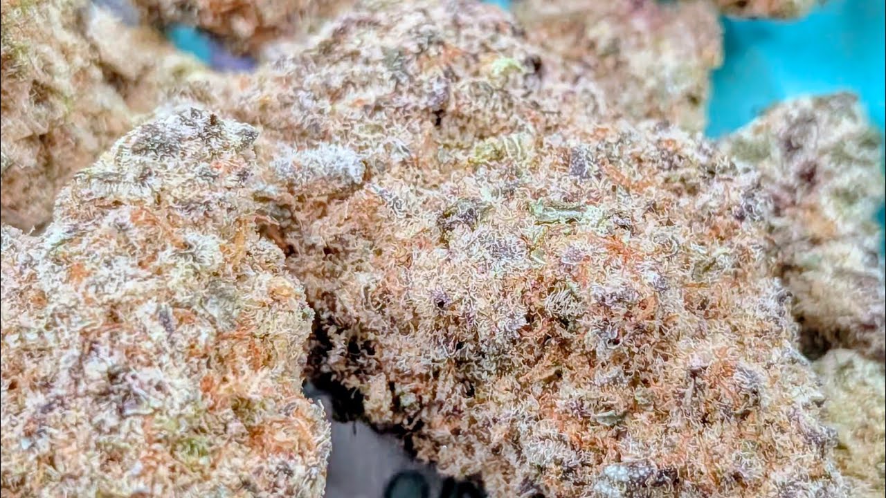 CallMeTHCA Sub Zero 27.85% THCA Indoor Exotic❄️🤯😵&zwj;💫