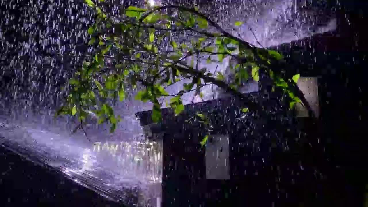 ASMR Heavy Rain on Tin Roof | Relax & Sleep Fast