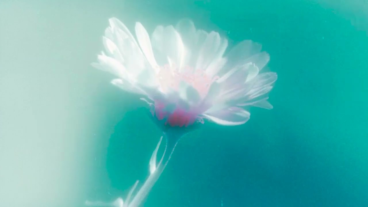 AVAION, oskar med k - Can't Find You (Official Visualizer)