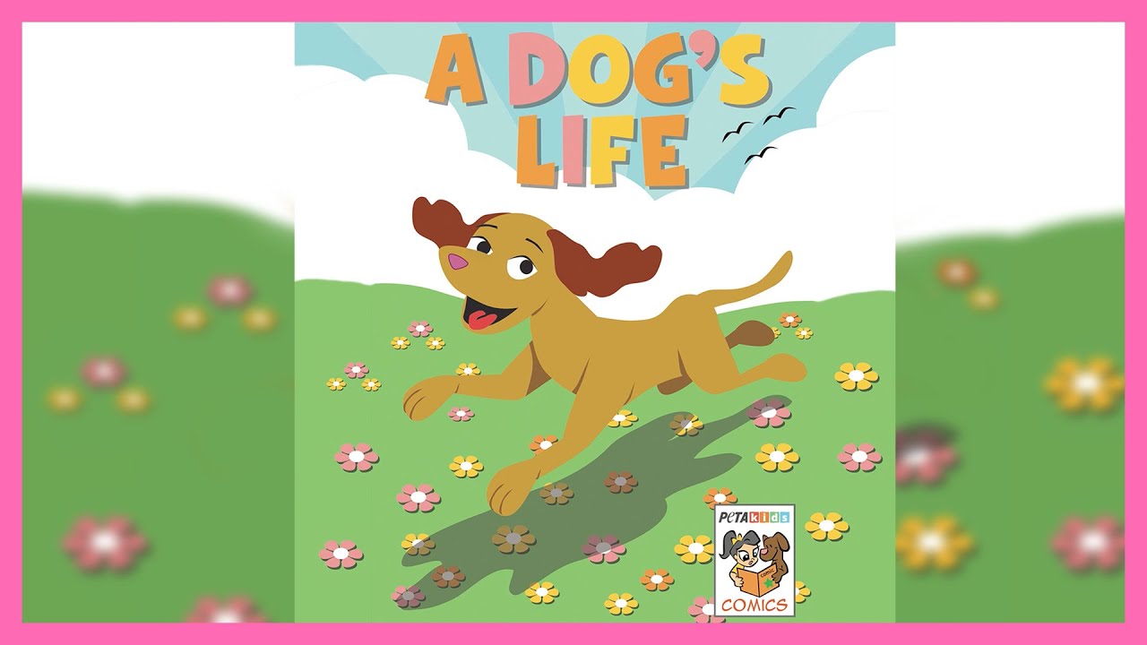 ‘A Dog’s Life’ Read-Aloud