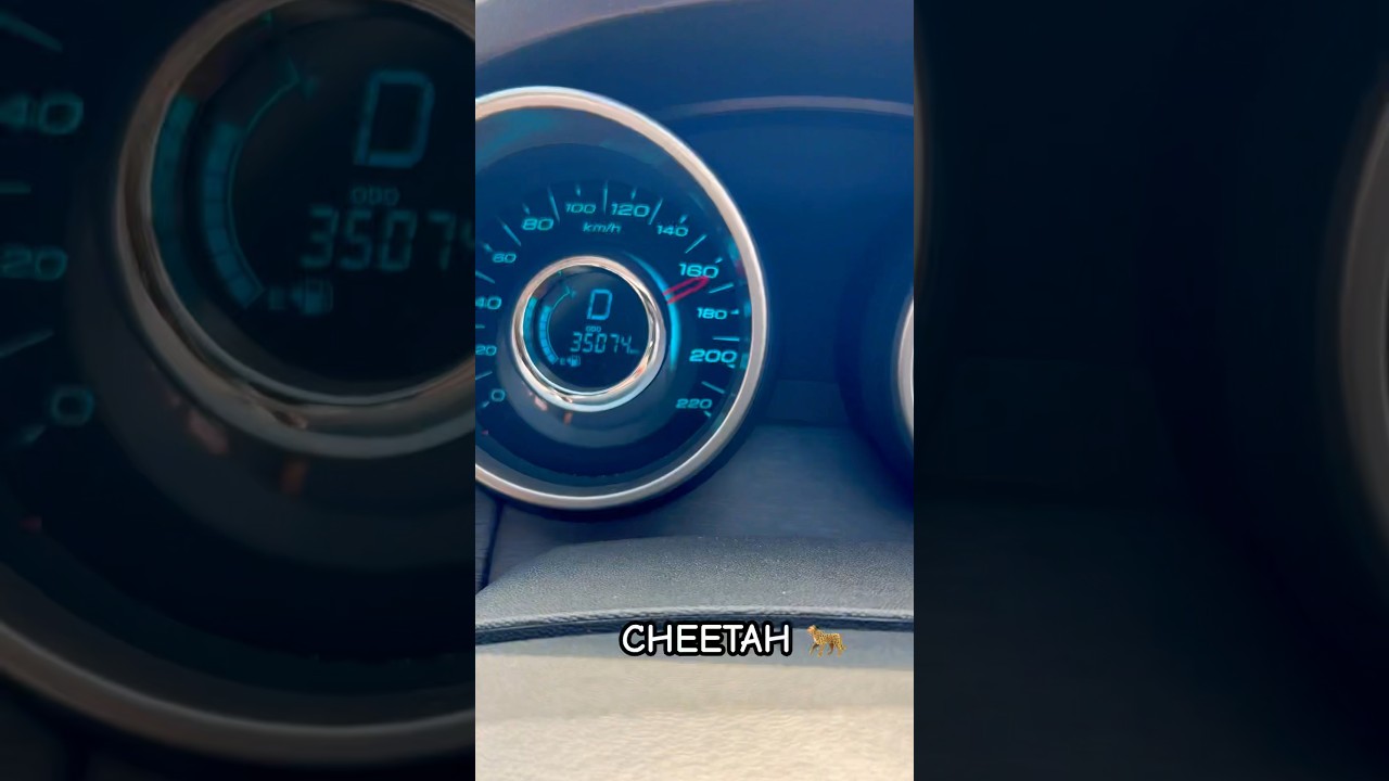 XUV 500 vs SCORPIO 🔥 
