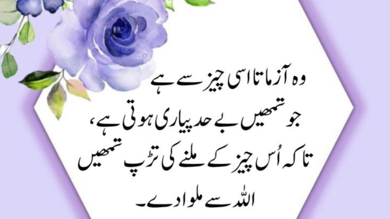 Motivational speach/Urdu islamic quotes/urdu poetry/Golden words