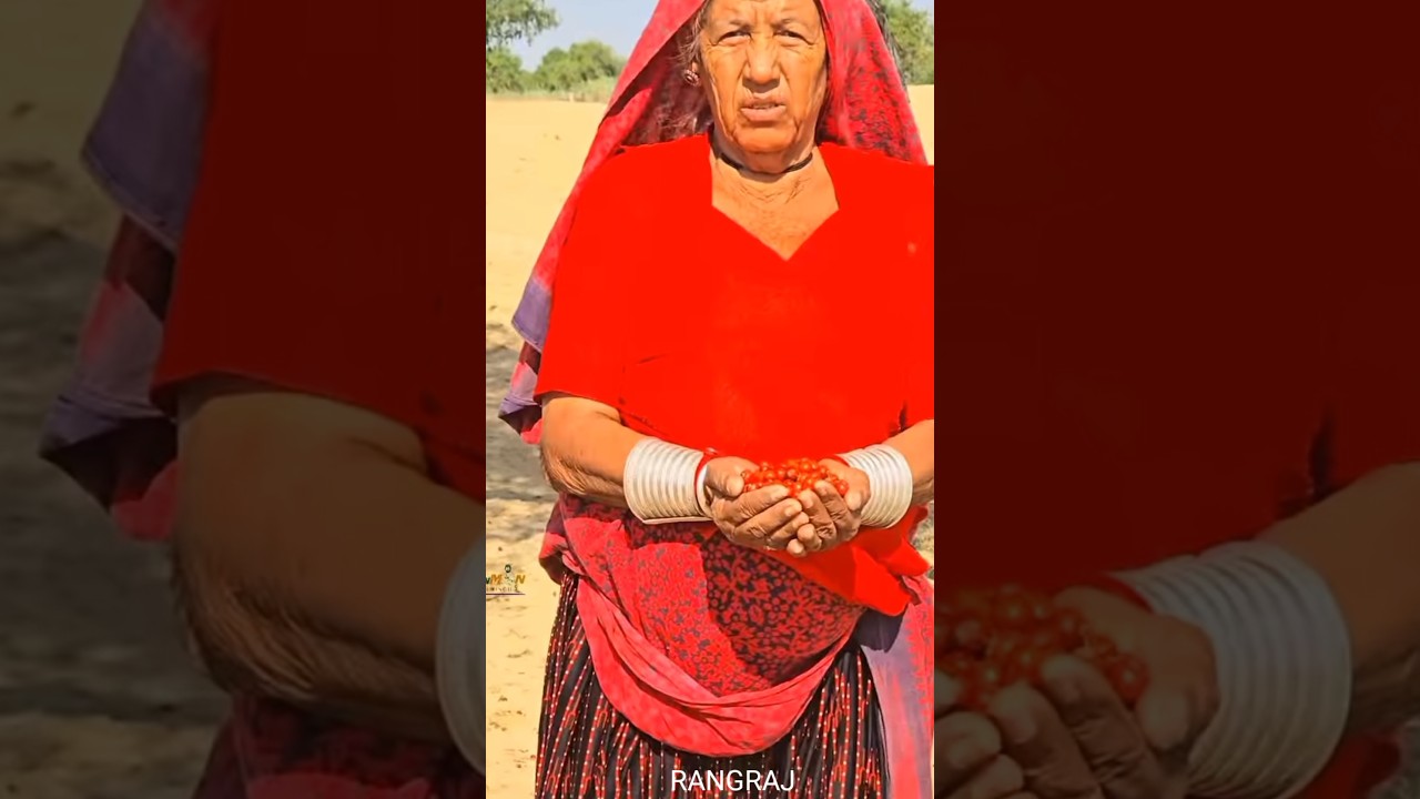 Rajasthan ki Hawa #rajasthan #shorts #youtubeshorts #hawa #ki