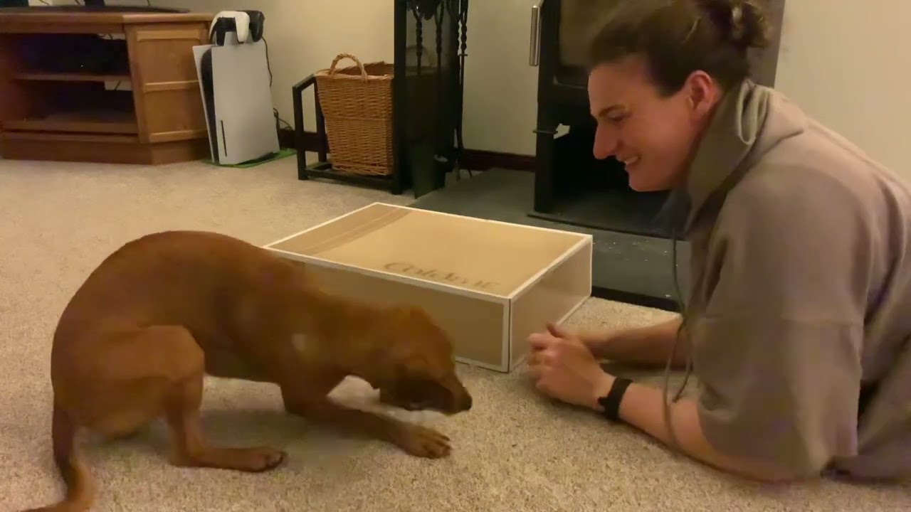 Imitation Game, first time with energetic youngster