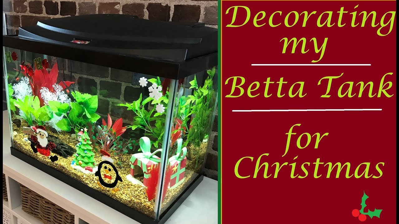 Decorating my Betta Tank for Christmas!   + Tank Tour