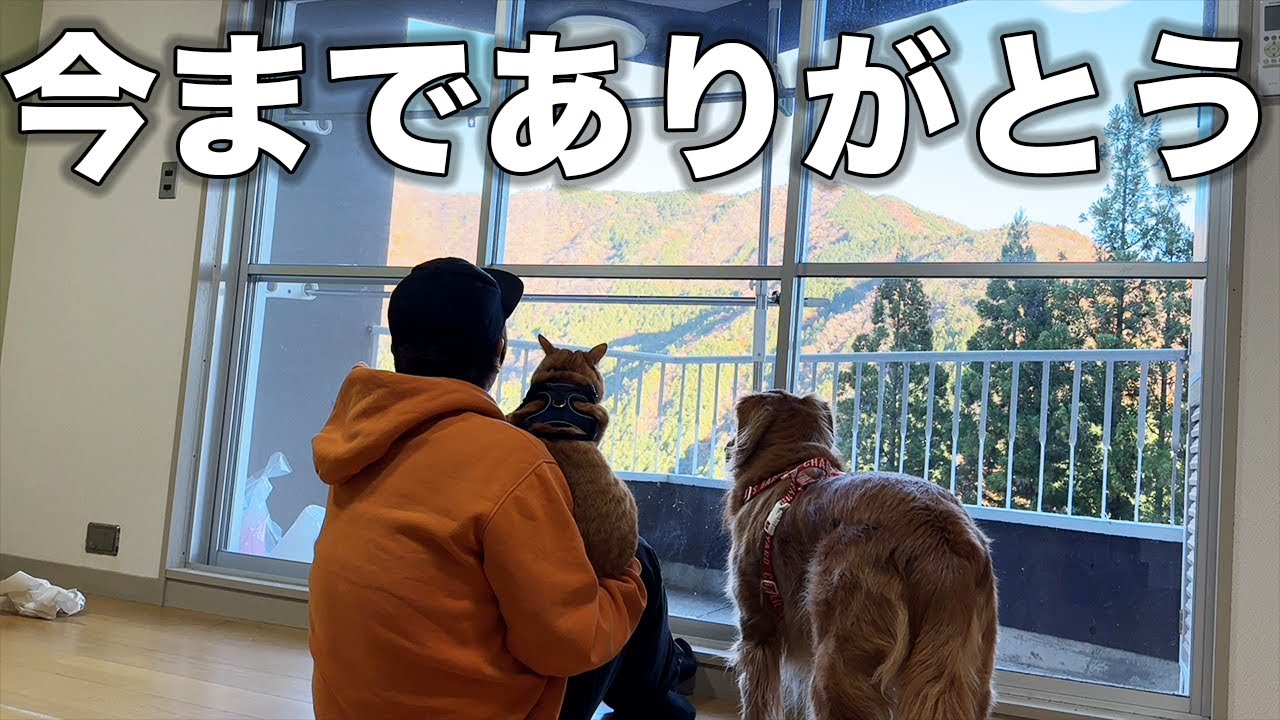バイバイ。今までありがとう