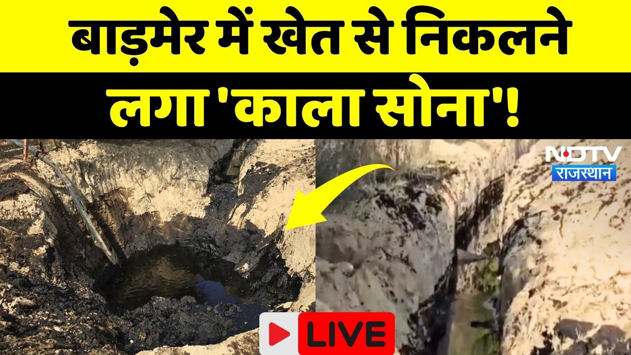 Barmer Oil Leak: अचानक फटी जमीन, निकलने लगा 'काला सोना'! Crude Oil leak | Rajasthan News | Latest