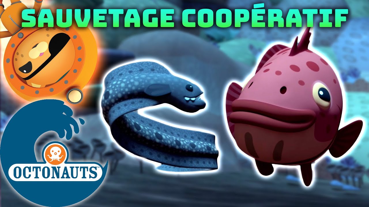 Octonauts - Sauvetage coopératif | Compilation | Dessins animés pour enfants