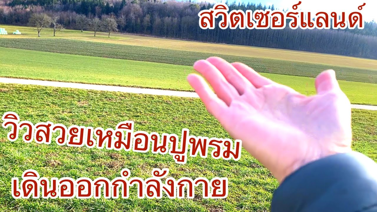 วิวสวยชมการเกตรเยี่ยมฟาร์มไก่วันที่มีแดด สวิตเซอร์แลนด์
