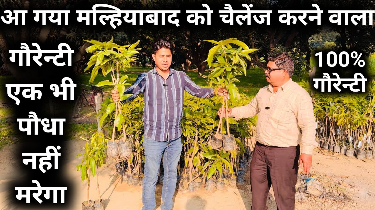 ऑनलाइन नर्सरी एक भी पौधा नही मरेगा 100% गौरेन्टी | plant nursery near me | largest online nursery