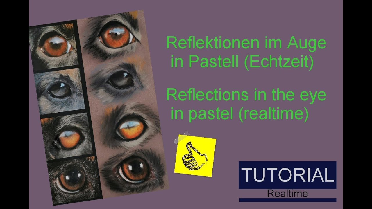 Reflections in the eye in PASTEL- Reflektionen im Auge in PASTELL