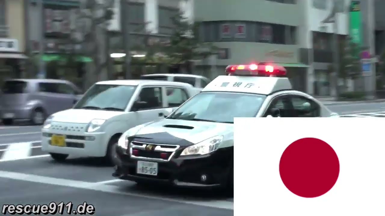 Police cars around the world