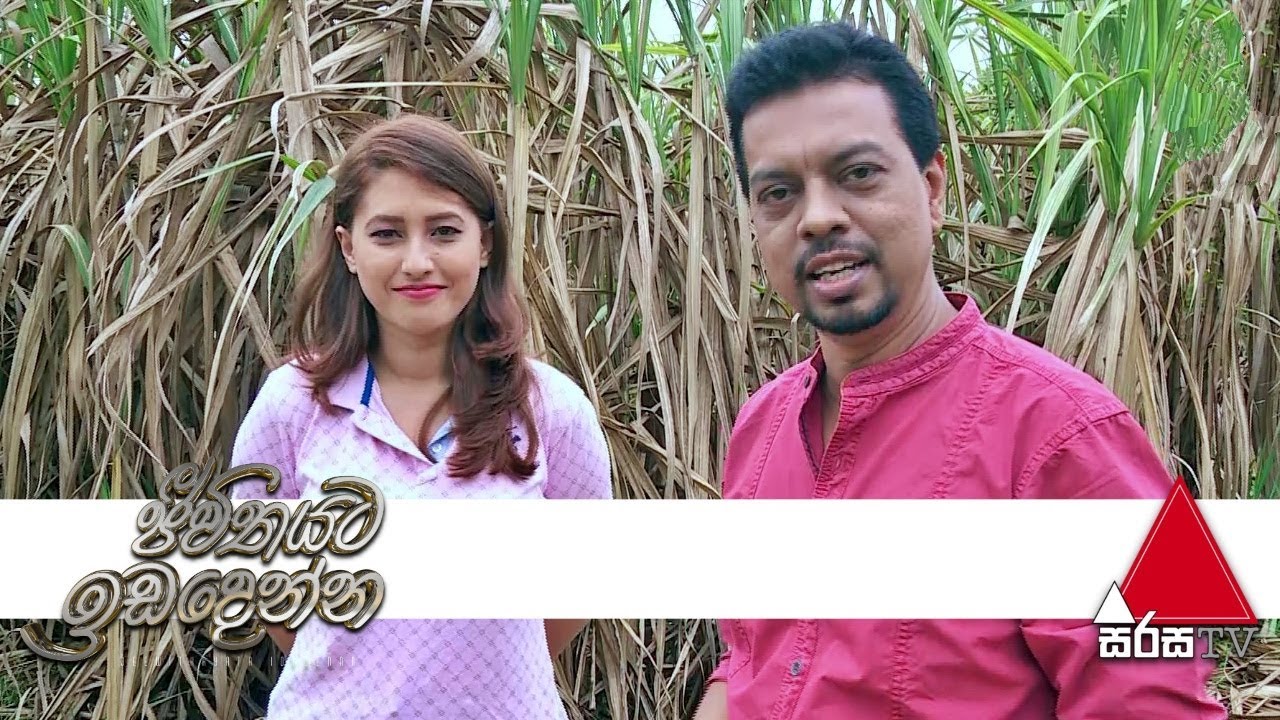 සෙවනගල සීනි කර්මාන්ත ශාලාවට ගිය ගමනක් | Jeevithayata Idadenna | Sirasa TV