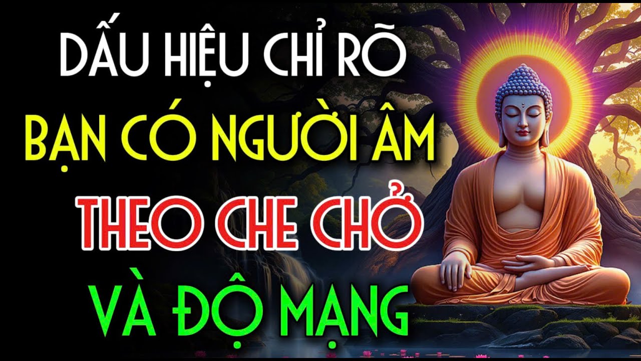 DẤU HIỆU CHỈ RÕ, BẠN CÓ NGƯỜI ÂM THEO CHE CHỞ, VÀ ĐỘ MẠNG | Nhân Tâm Chỉ Lộ