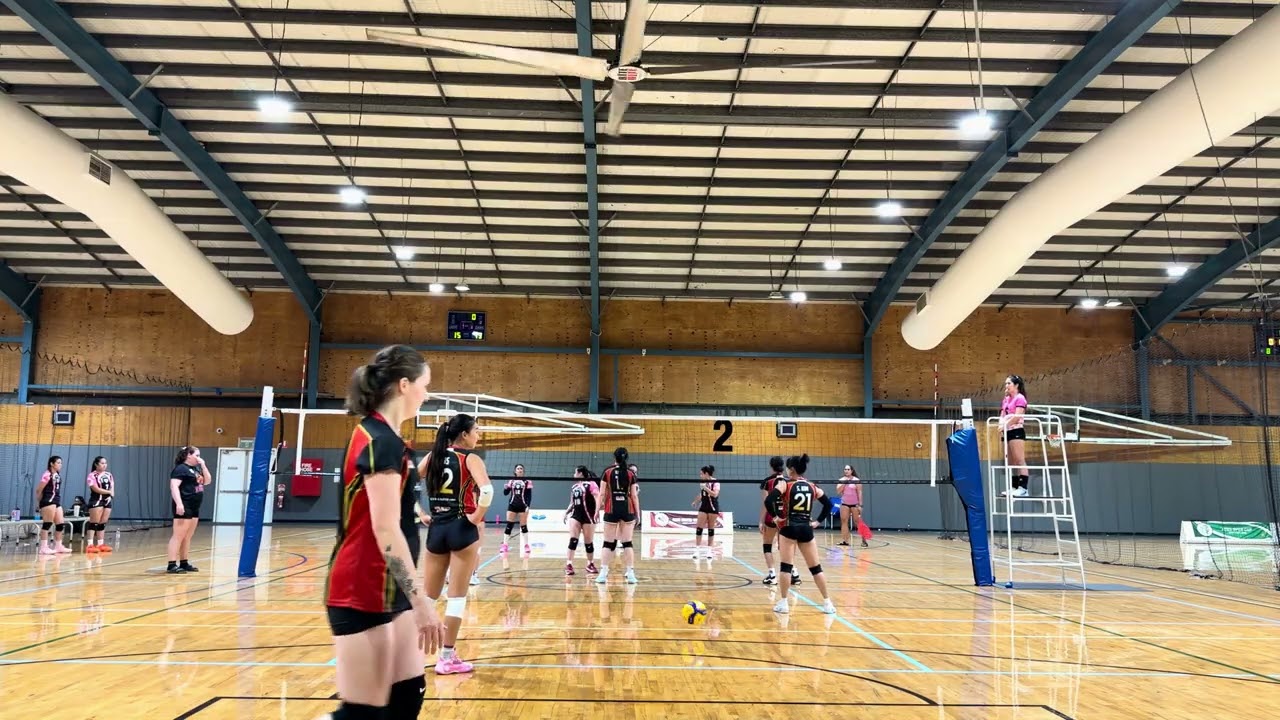 Aces cup 2026- Aces light work vs Pink panthers