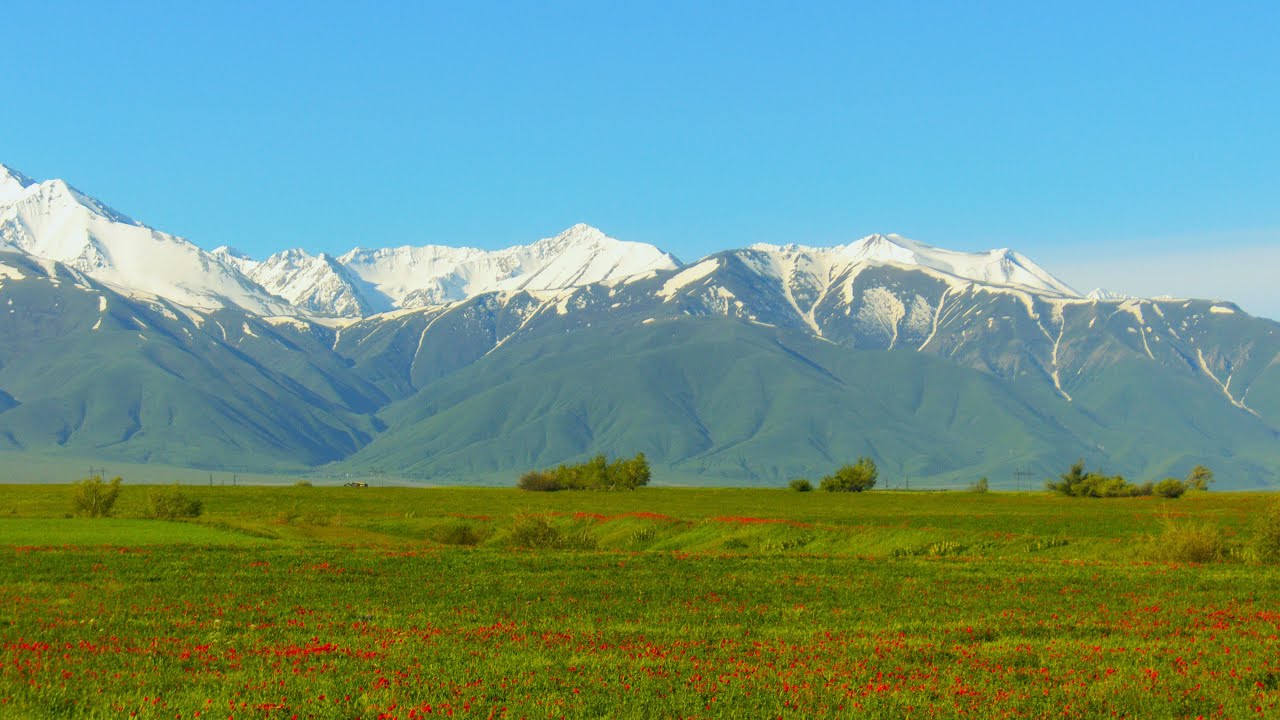 Бурное