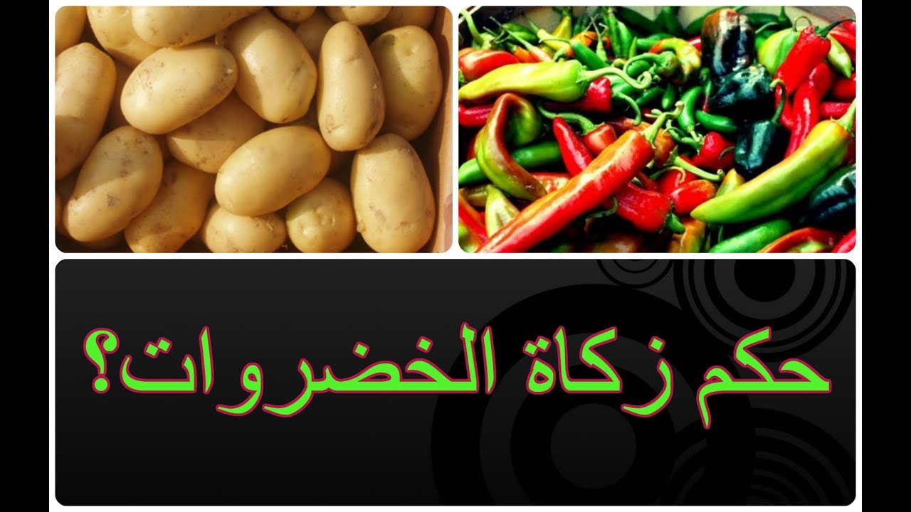 حكم زكاة الخضروات للشيخ فركوس الجزائري
