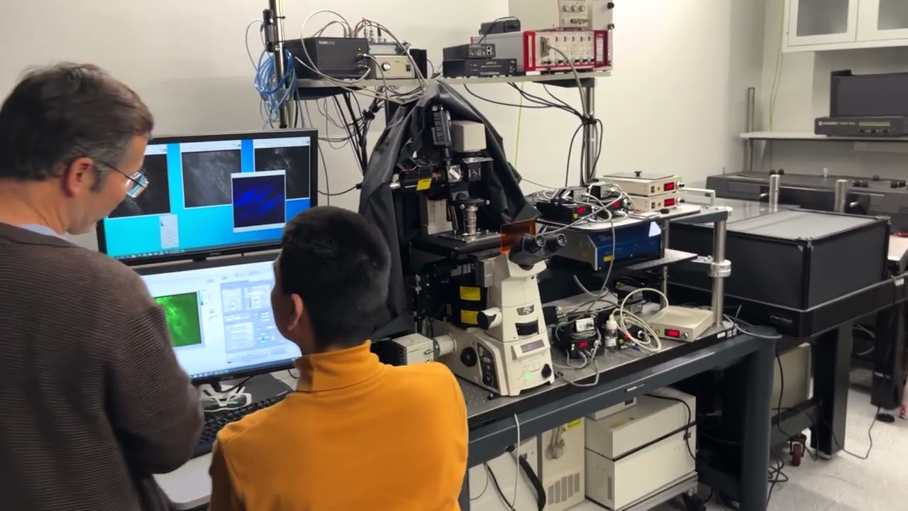 Halite 2 - femtosecond laser for 2-photon microscopy and 2-photon polymerization - Barcelona 2022