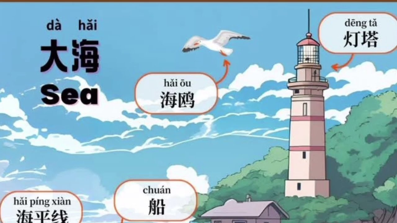 Chinese for beginners| Beginners hsk1 vocabulary|😁😁