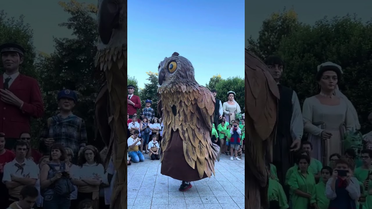 Ball dels xut de Solsona a la trobada de gegants de Castellterçol (15/07/2023)