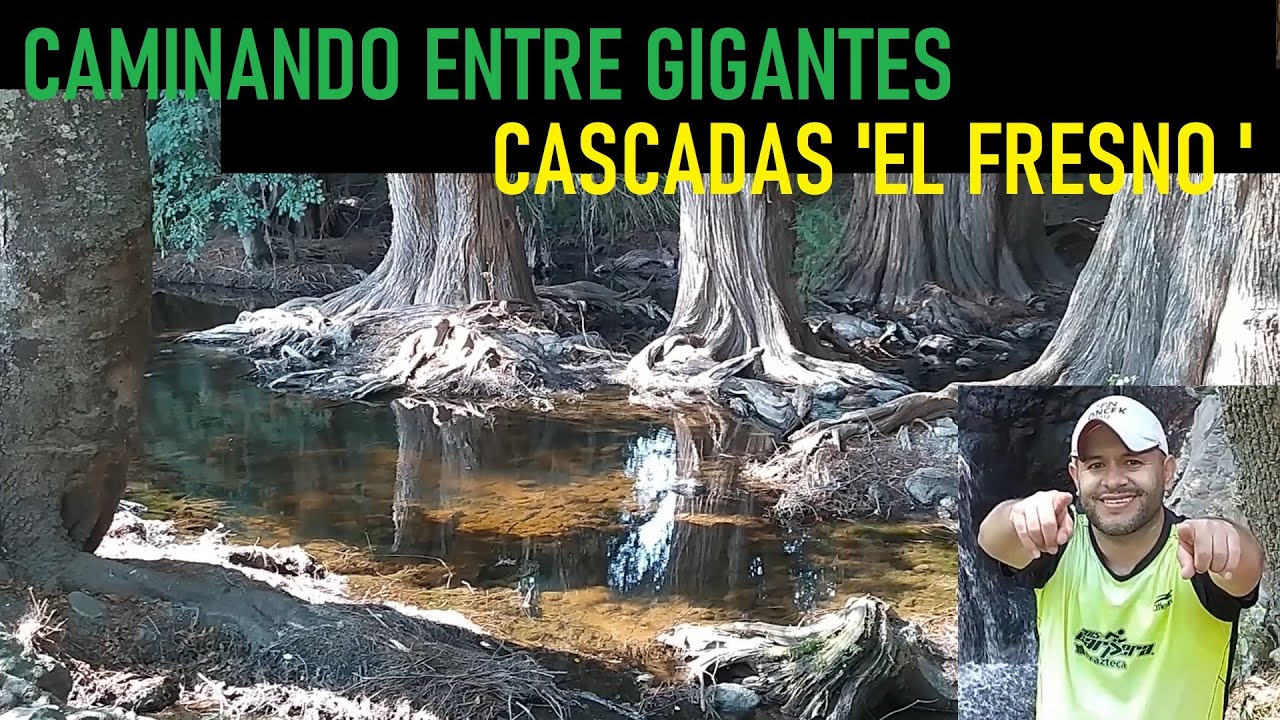 Cascadas 'El Fresno'  Soyaniquilpan de Juárez, Estado de México