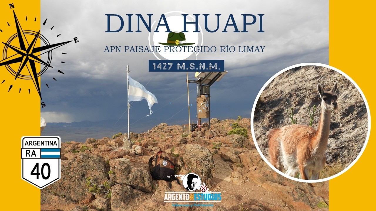 Area Natural Protegida Río Limay, Dina Huapi.