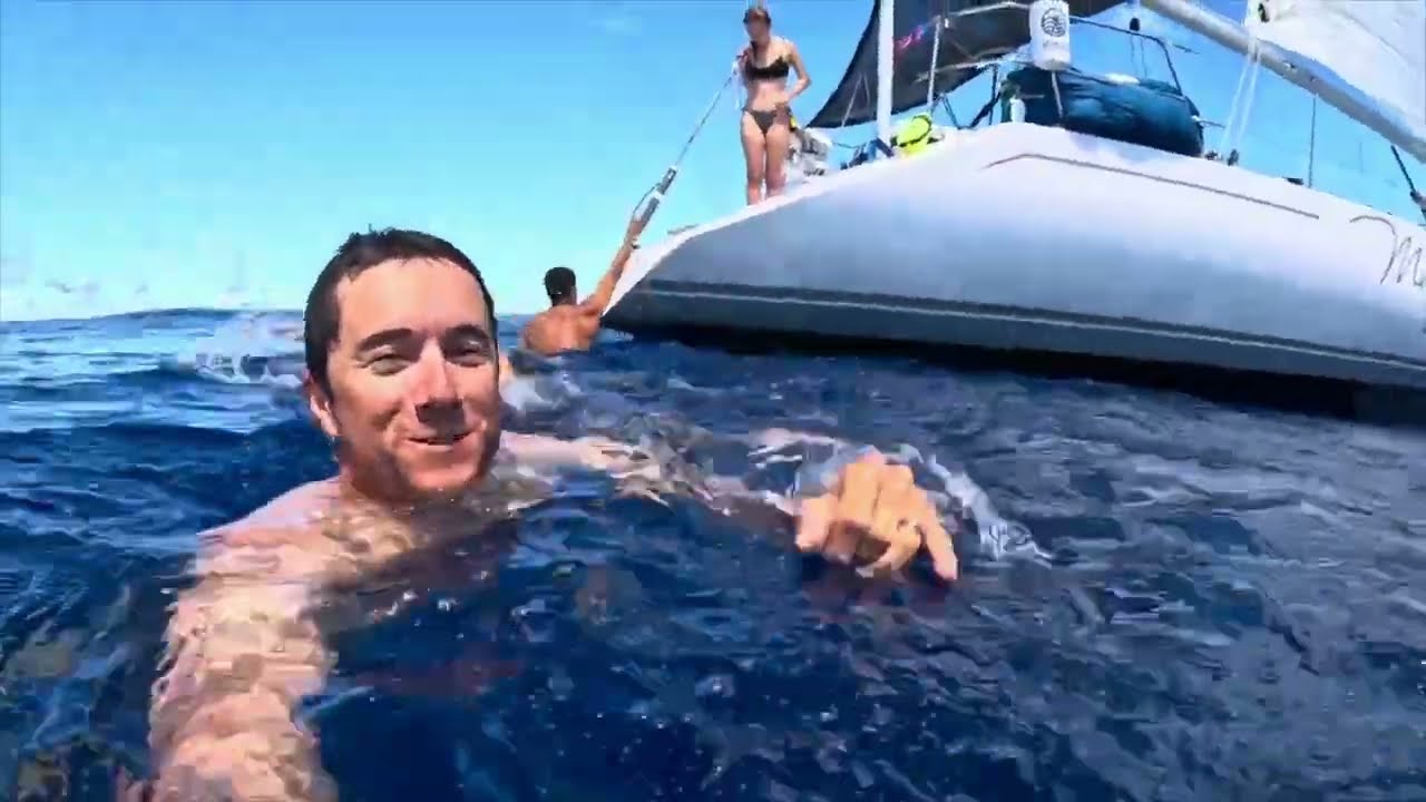 Sailing from Hawaii to California - Santa Cruz 70 Mirage