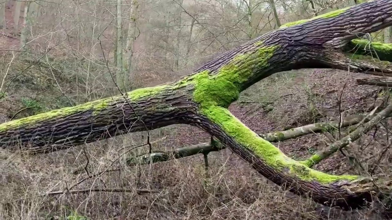 Eine Wanderung durch das Rurtal