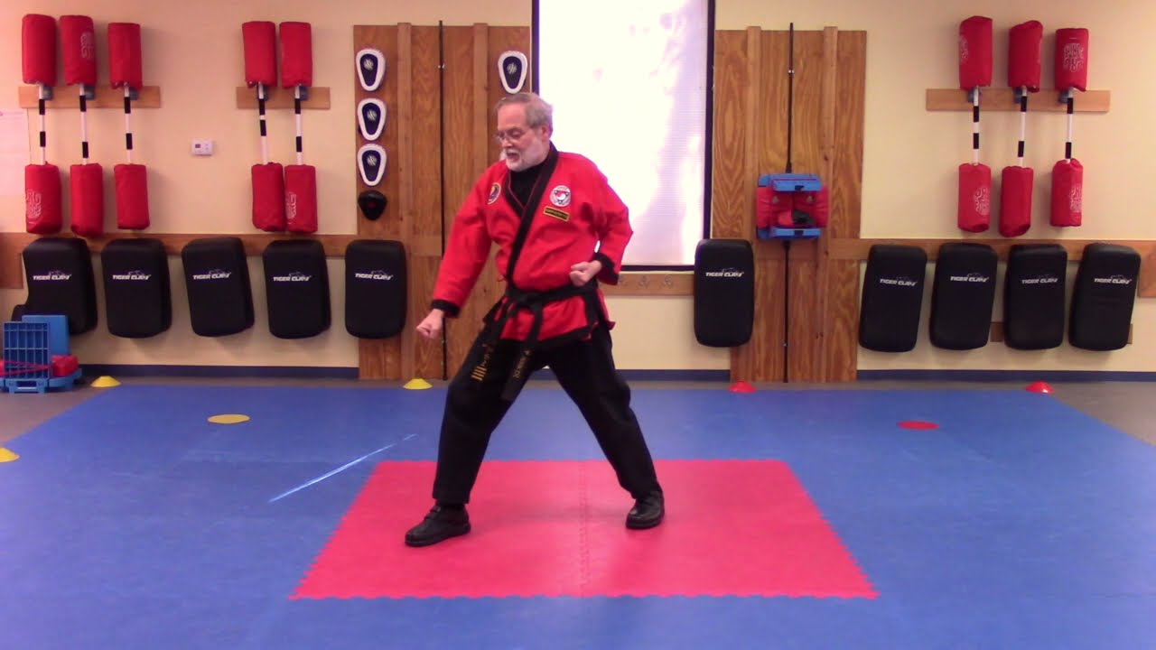 Video Tutorial:  Tae-Kwon Hyung -- 3 Merits (Proper Technique, Power & Focus)