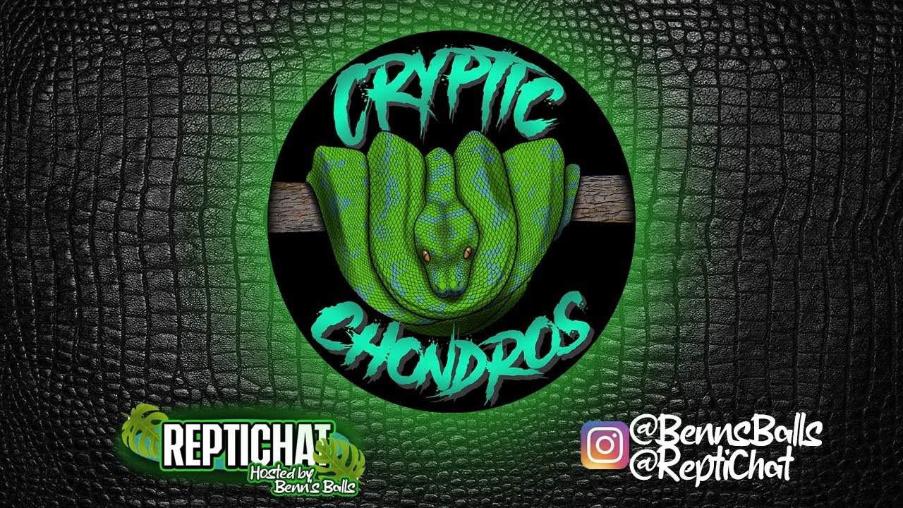 ReptiChat #Ep 16 - Sal from Cryptic Chondros