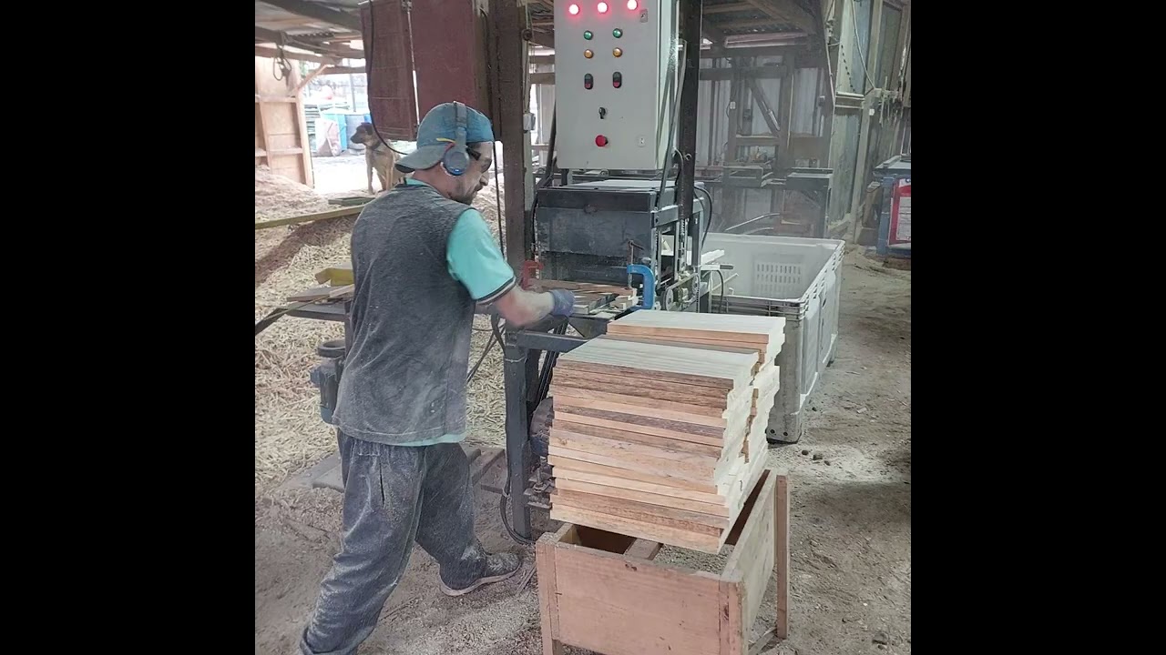 FABRICA DE COLMENAS y MATERIAL APICOLA.   Pruebas  de Funcionamiento. Segunda  Máquina  Múltiple.