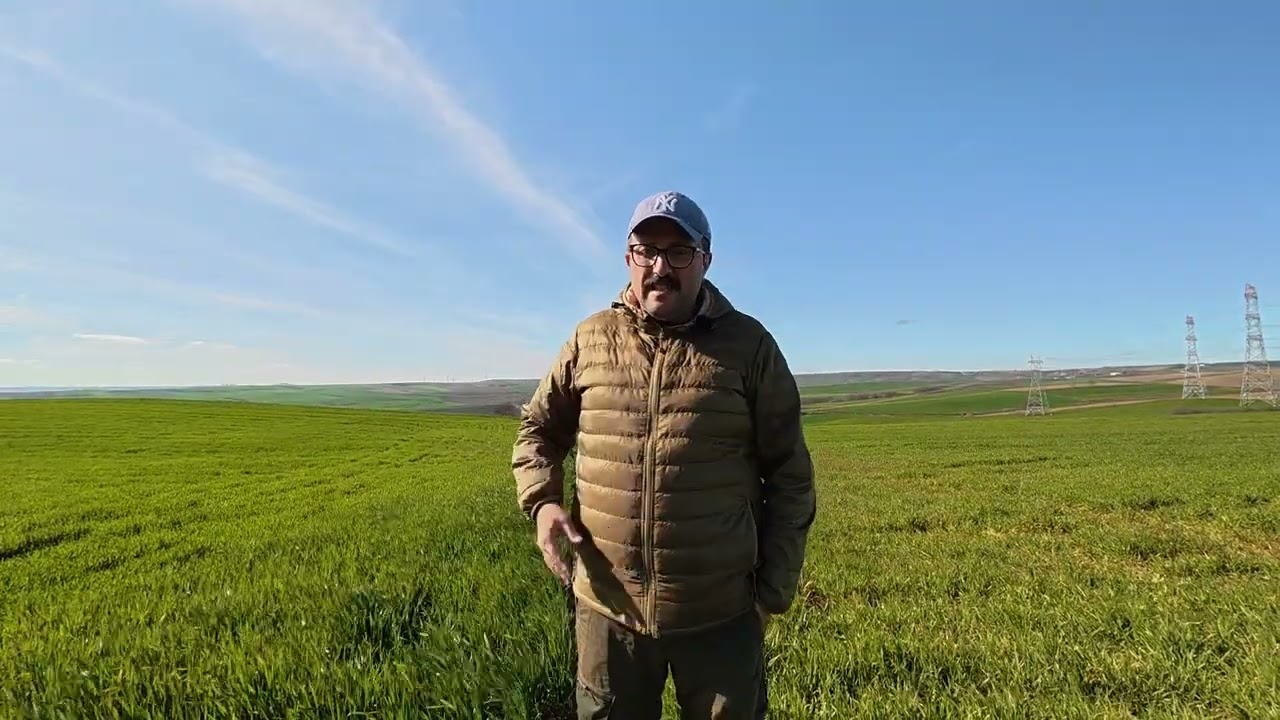 Buğday Arpa kök kök boğaz,  Yaprak Hastalıkları arazi ziyareti