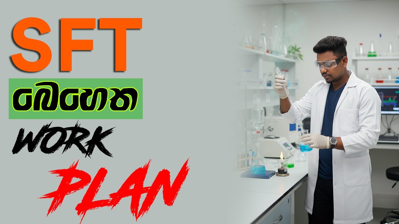 SFT || Work Plan || sft බෙහෙත