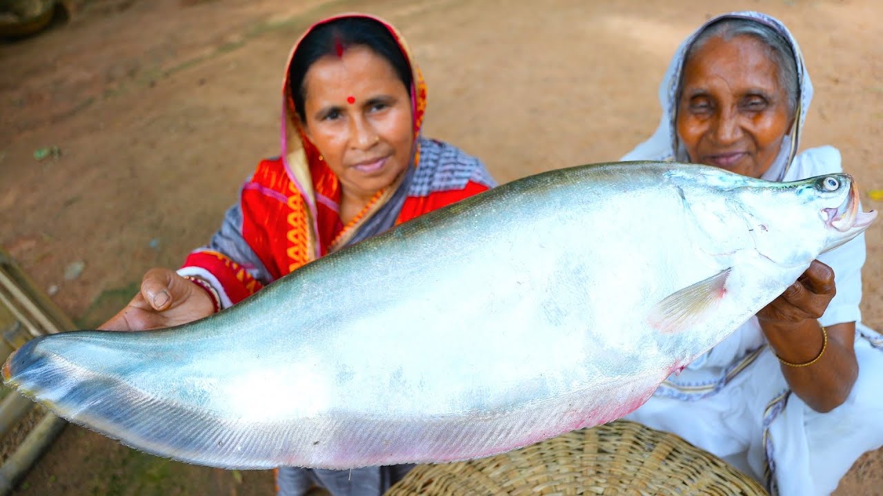 CHITAL FISHING AND COOKING | পুকুর থেকে চিতল মাছ ধরা সাথে চিতল মাছের পেটি রান্না | Chital Peti Curry