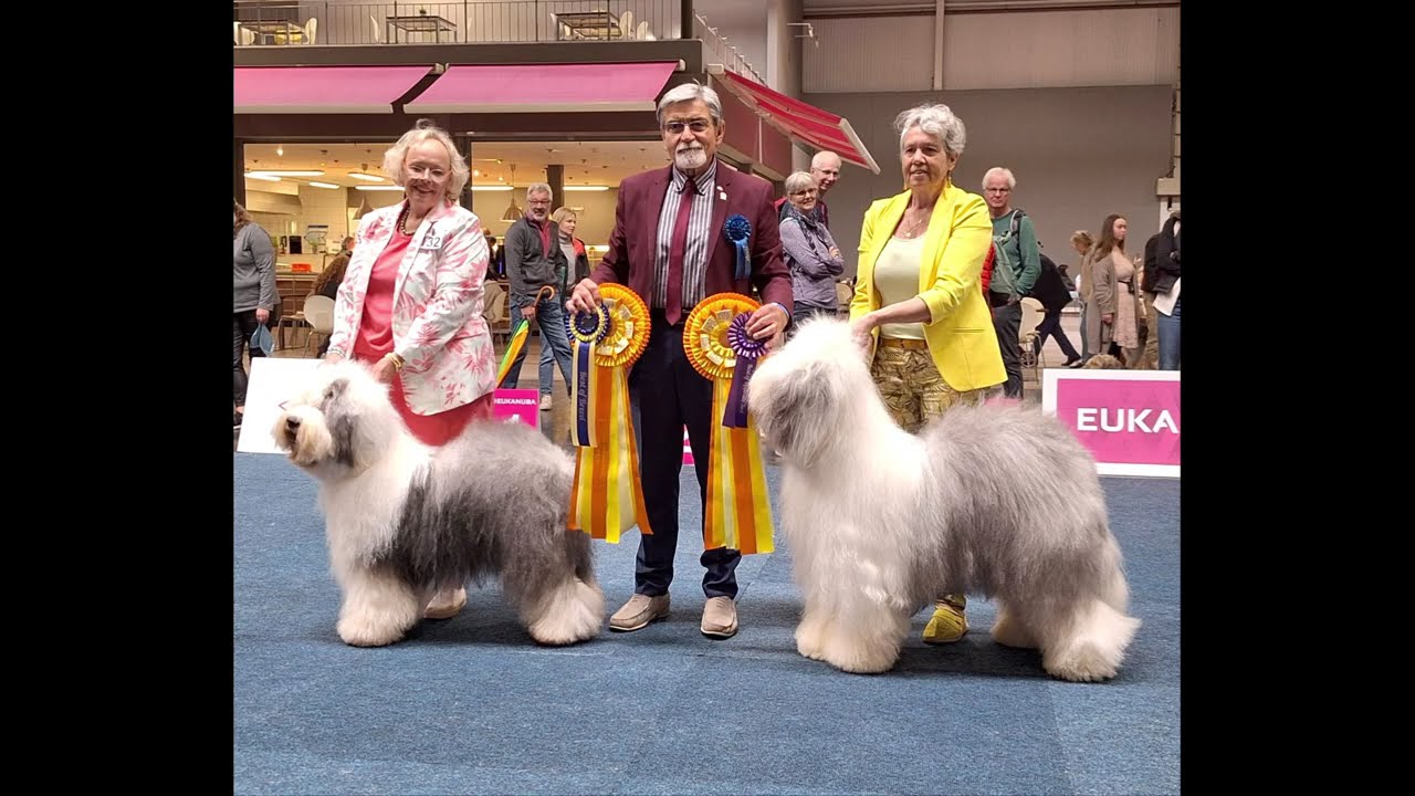 Dortmund Europasieger show