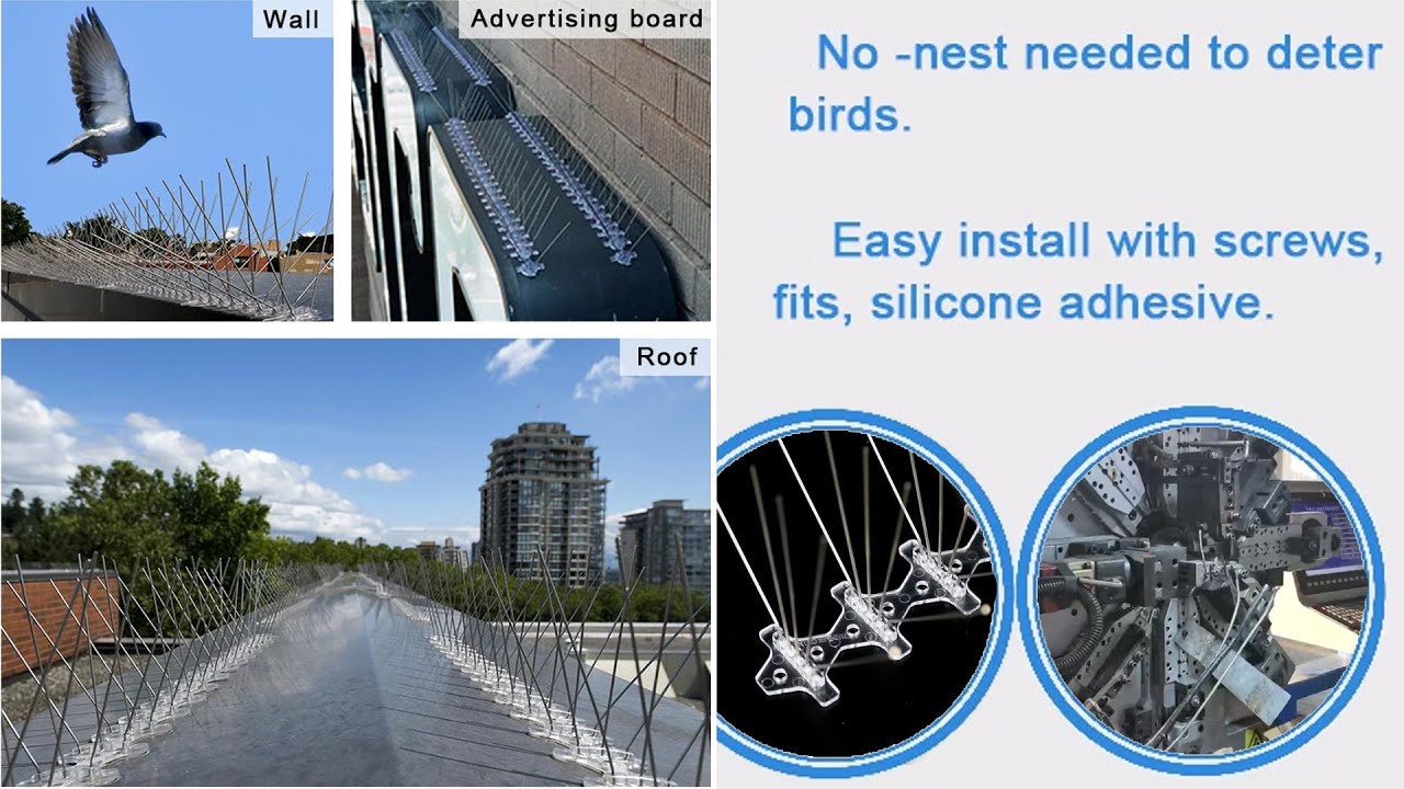 Bird [Pigeon, Seagull] Spike Control Made in China Manufacturer Factory QC Effectively Solution
